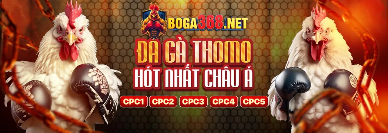 Đá Gà 777king99 – Trang Chủ Chính Thức